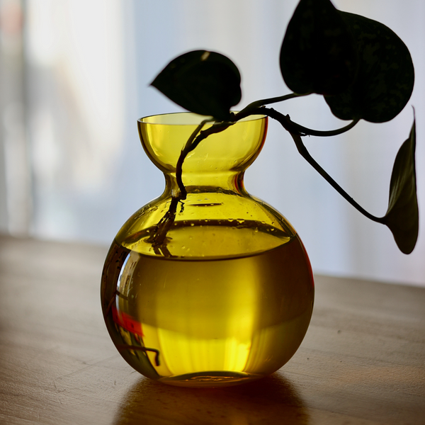 Vase AVO